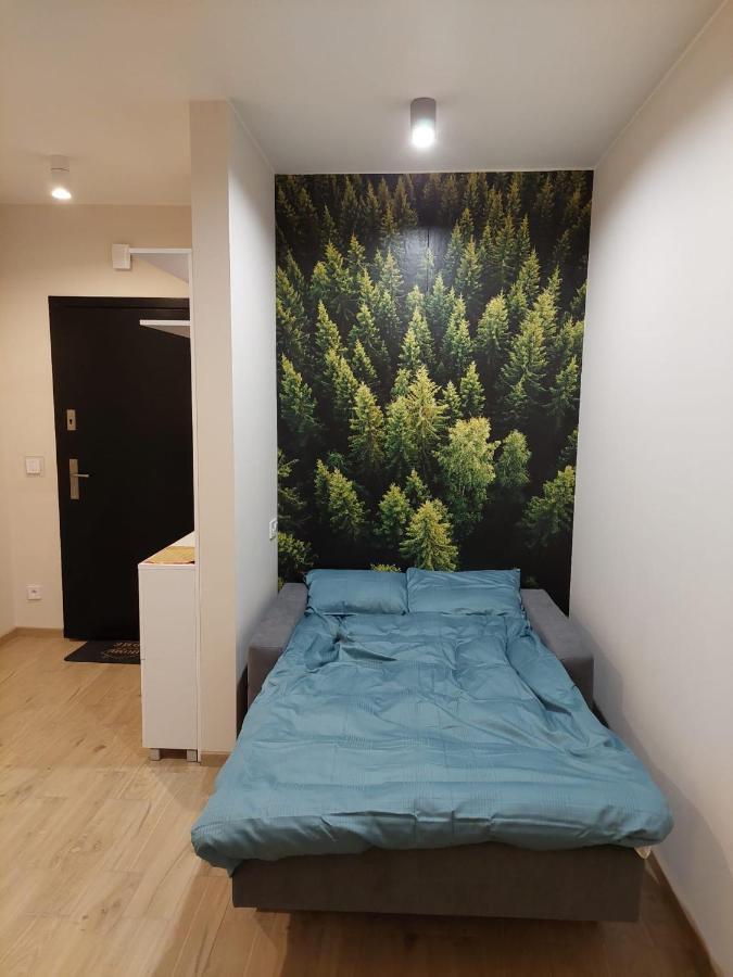 Apartament Pod Gora Szyndzielnia , Debowiec بييلسكو بياوا المظهر الخارجي الصورة